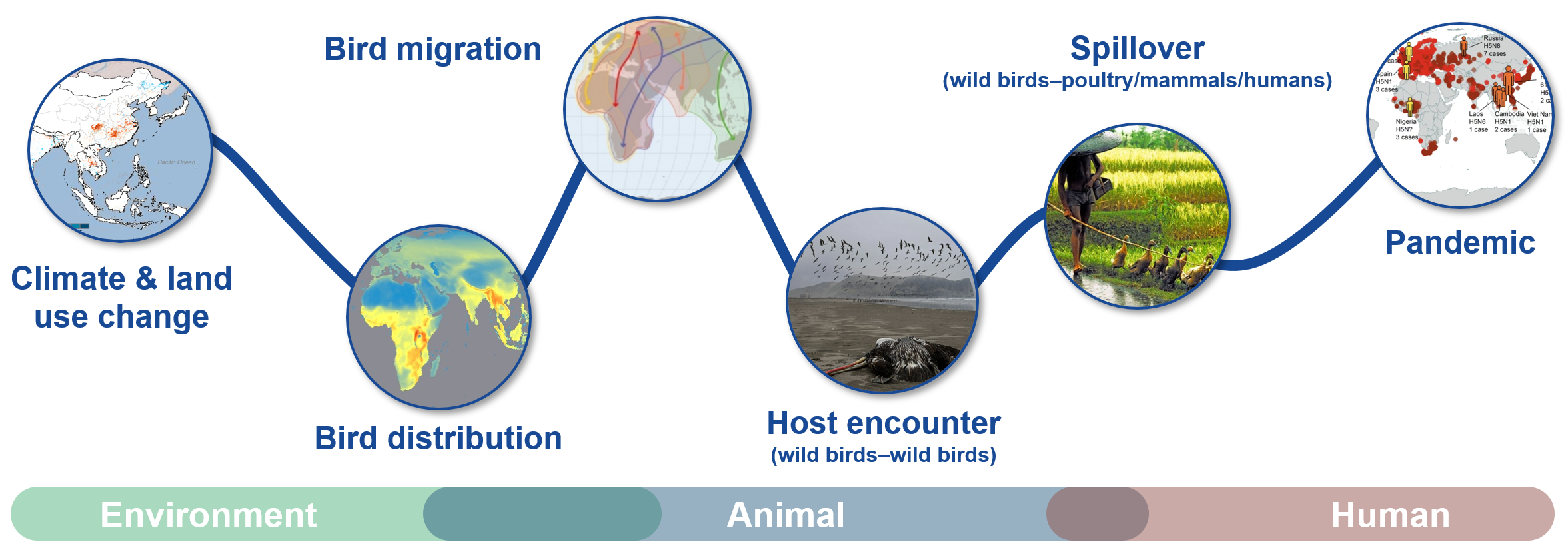 Global change-induced zoonotic spillover